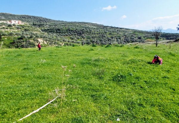 παιδιά και περιβάλλον