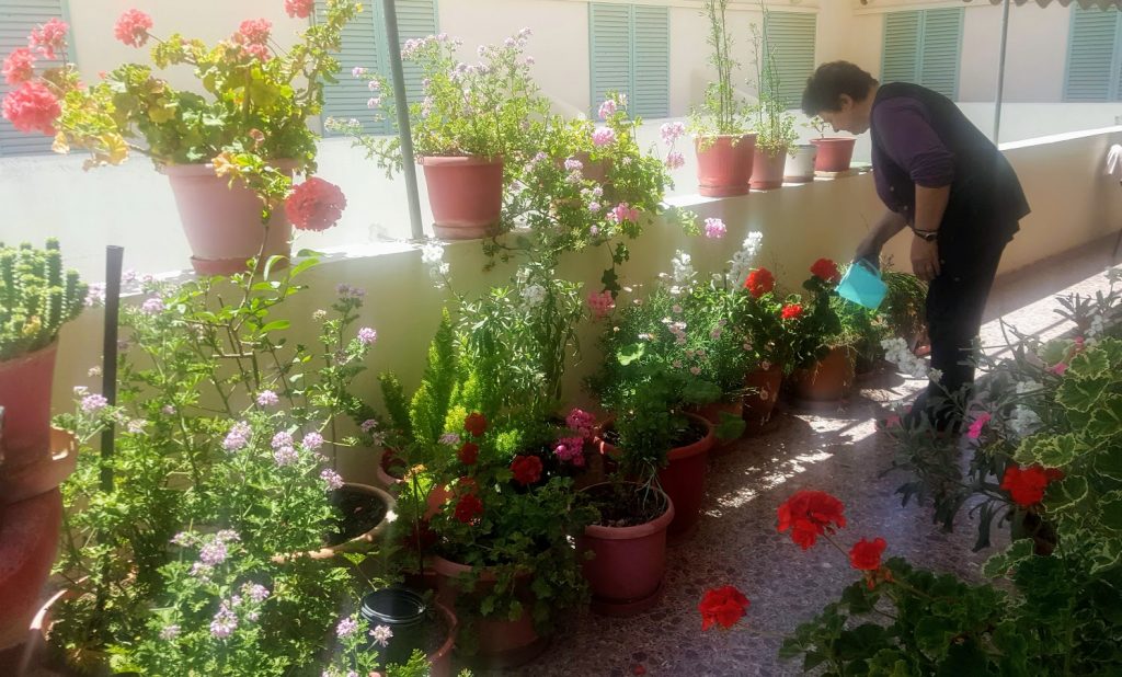 αυλή με λουλούδια